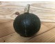 Courge "Potimarron Green Okaïdo" ~ 1,1kg